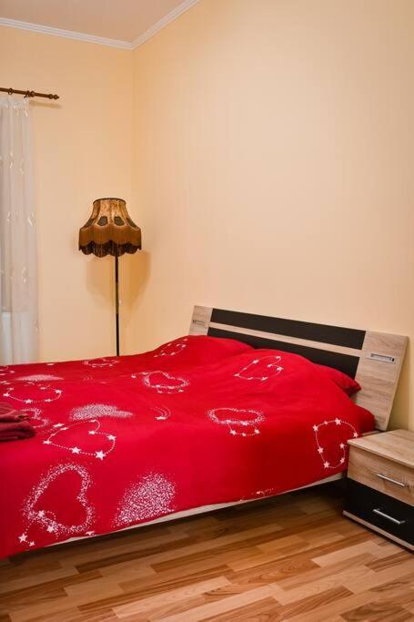 Casa Max Apartman Temesvár Kültér fotó