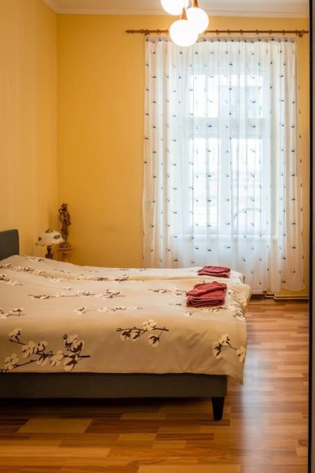 Casa Max Apartman Temesvár Kültér fotó