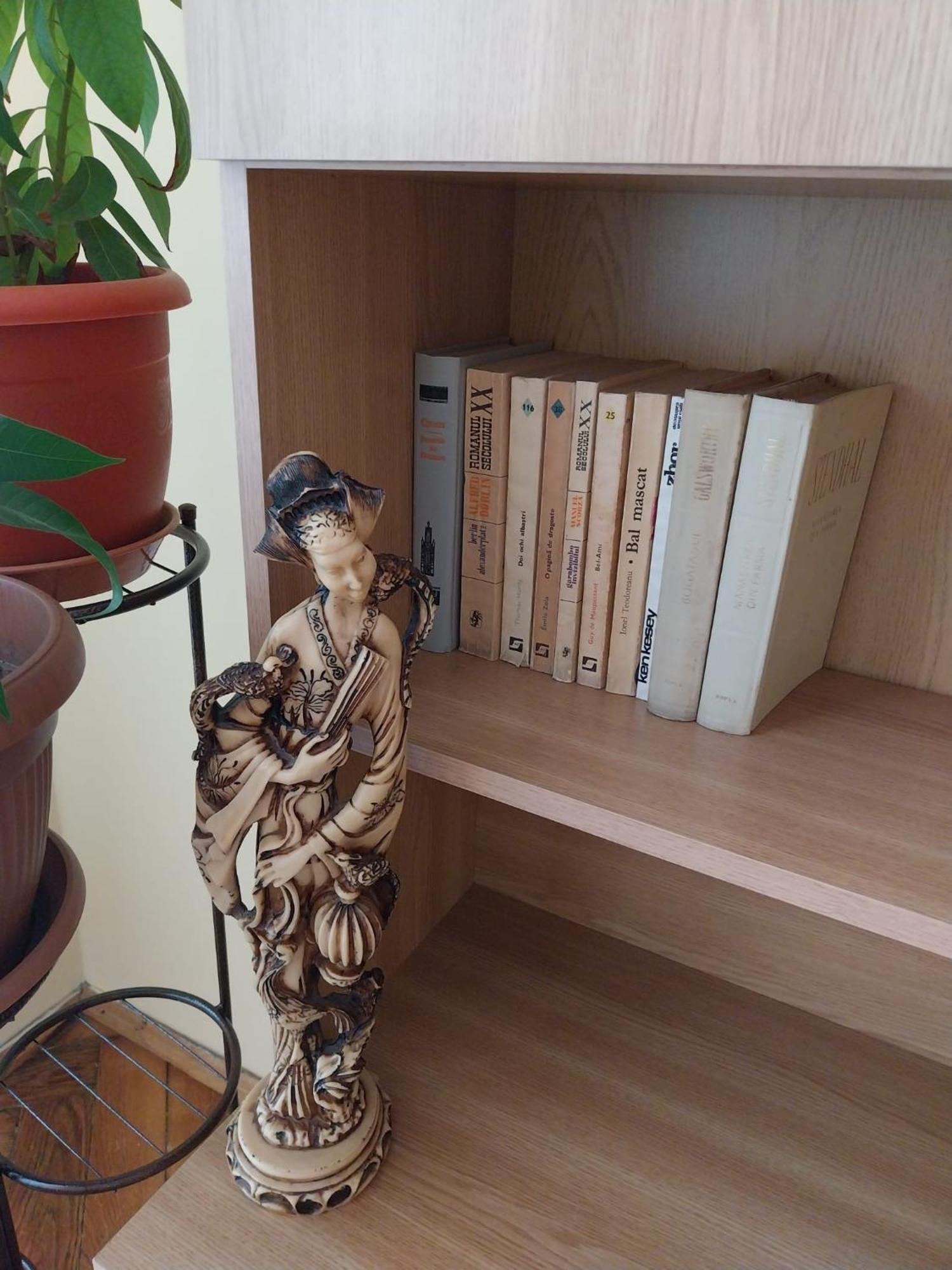 Casa Max Apartman Temesvár Kültér fotó